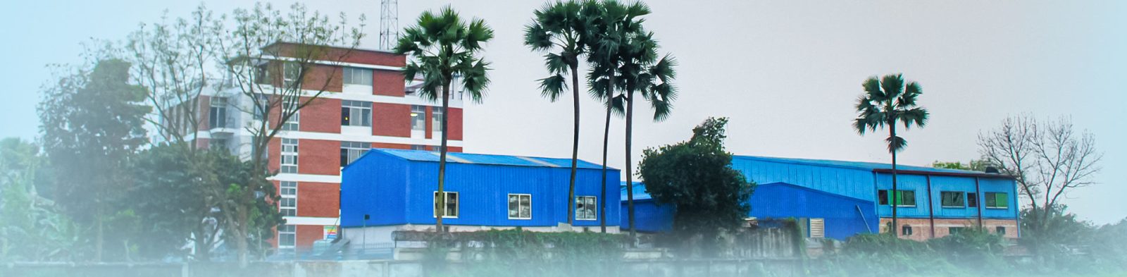 Our Vision